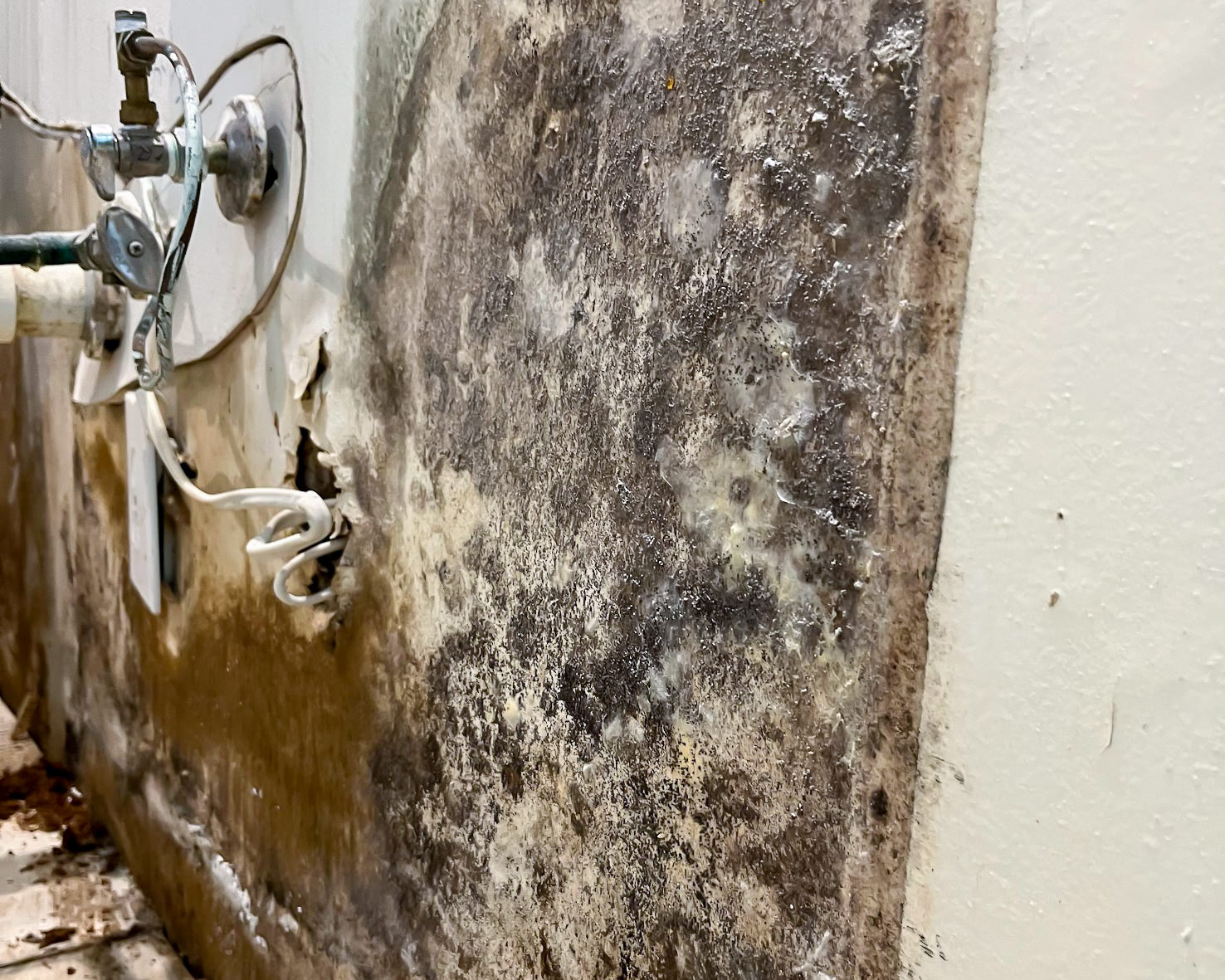 Thermal camera detecting water damage