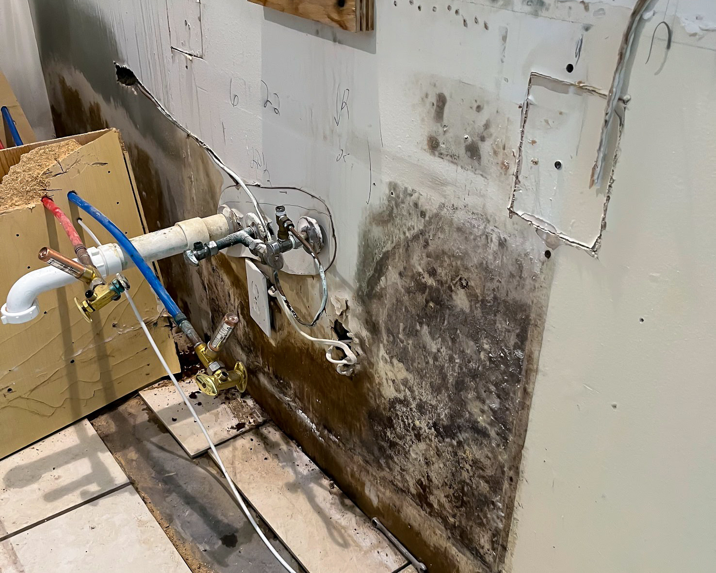 Heavy black mold growth on wall with exposed plumbing