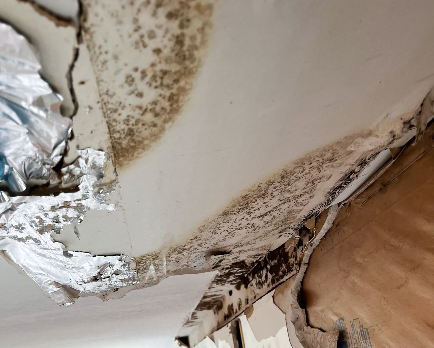 Mold on collapsed ceiling — water damage and mold combined
